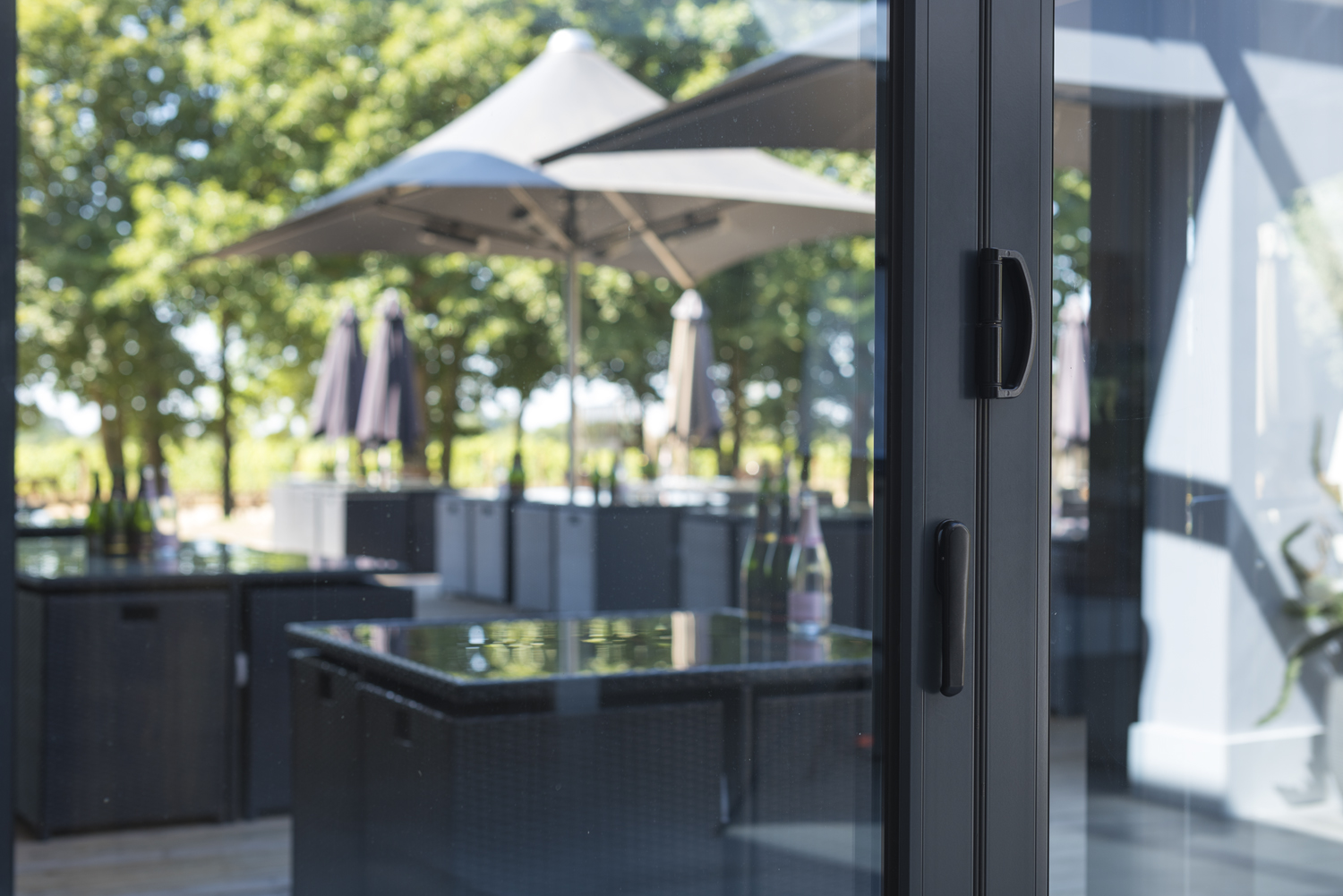 Close up of a garden through closed bifold doors